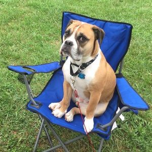 Meet your Posher, Rachael